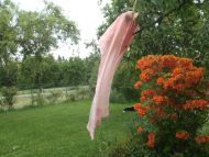 Hedvábný šál zdobený krajkou růžový